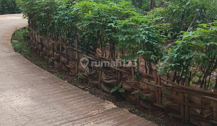 Tanah 400 m² di Daerah Desa Mampir Cileungsi Bogor Timur 2