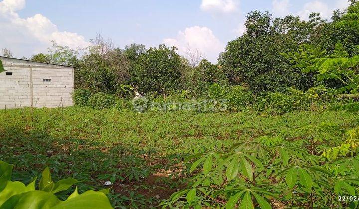 Tanah di Desa Gandoang, Dekat Perum. Puri Cileungsi, Bogor 105 m² 1