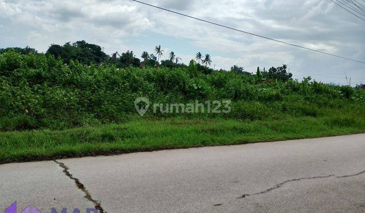 Tanah datar 10 Ha Murah, Diapit 2 Perumahan: Komplek Graha Prima dan Griya Puskeu Asri, Cileungsi, Bogor  1