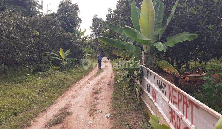 Tanah Strategis Jalan Desa Empu Rw 06 Cileungsi, Bogor 2