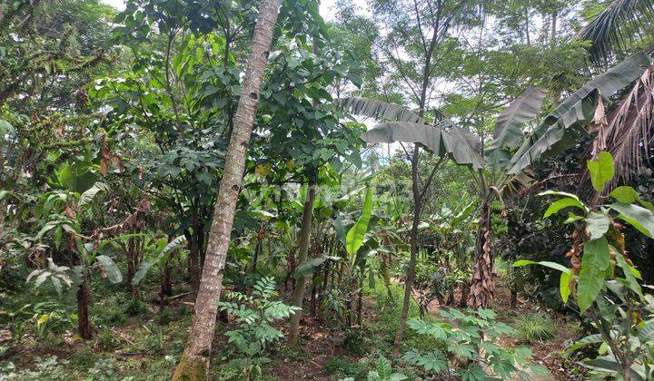 Tanah di Desa Suka Makmur Jonggol, Bogor 1