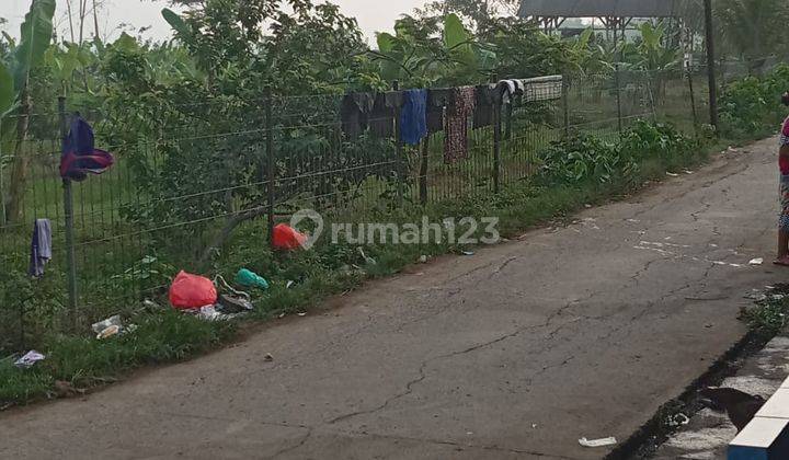 Kebun Teras Opa Winagalih Jonggol, Bogor 2