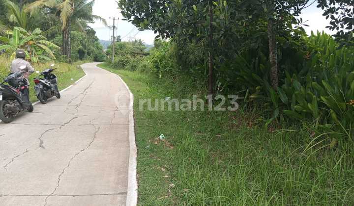 DIJUAL TANAH PINGGIR JALAN 5,7 HEKTAR DI DS SINGASARI JONGGOL 