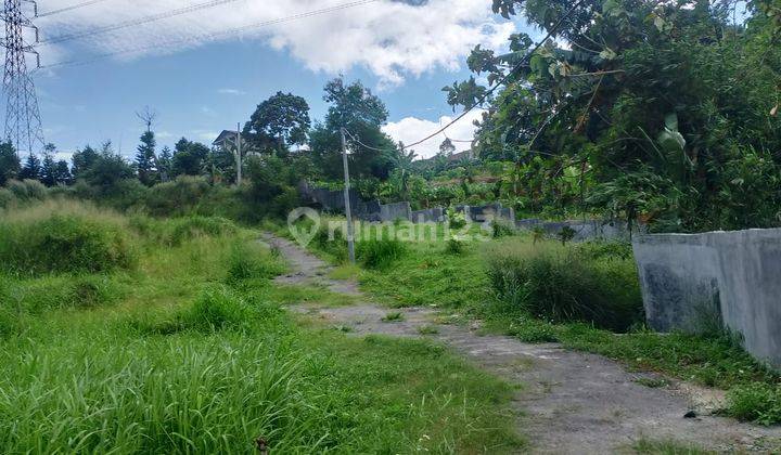 Tanah 16 Hectare di Lokasi Ciderum Caringin Bogor  1