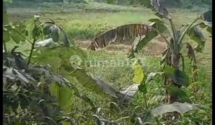 Dijual Tanah di Sawangan LT 1,9 Hektar