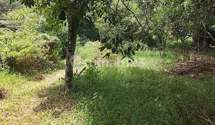 DIJUAL TANAH STRATEGIS LT 10 HEKTARE DI JONGGOL DIJUAL TANAH STRATEGIS LT 10 HEKTARE DI JONGGOL