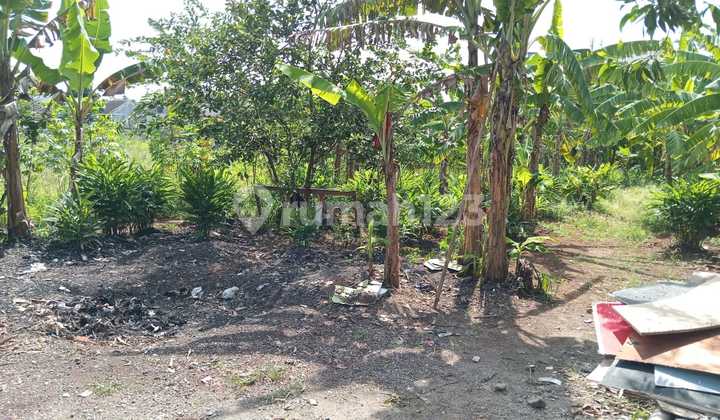 FOR SALE 20,000M2 LAND LOCATED ON JL SAMICK CILEUNGSI FOR SALE 20,000M2 LAND LOCATED ON JL SAMICK CILEUNGSI