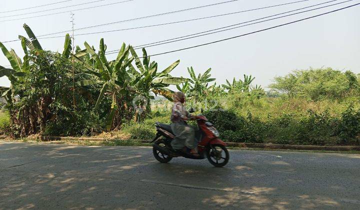 Tanah 3000M2 di Jalan Raya Jonggol Cariu , Bogor 1