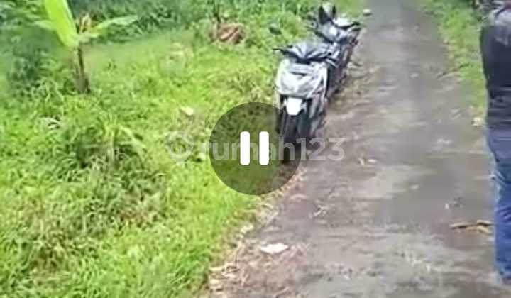 Dijual Tanah di Parakan Salak Sukabumi LT 28 Hektar Harga 90Rb Dijual Tanah di Parakan Salak Sukabumi LT 28 Hektar Harga 90Rb