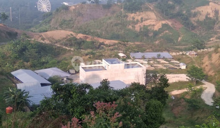 Dijual Tanah 3,7 Hektar di Hambalang Sentul Bogor Dijual Tanah 3,7 Hektar di Hambalang Sentul Bogor