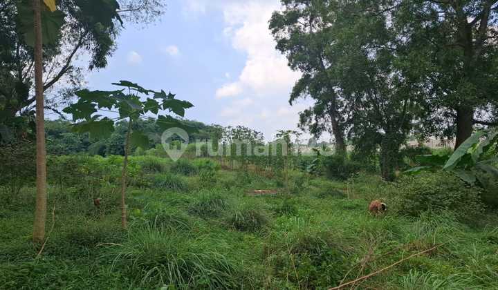 LAND 6300M2 ON JL SETU SERANG CIKARANG BARAT LAND 6300M2 ON JL SETU SERANG CIKARANG BARAT