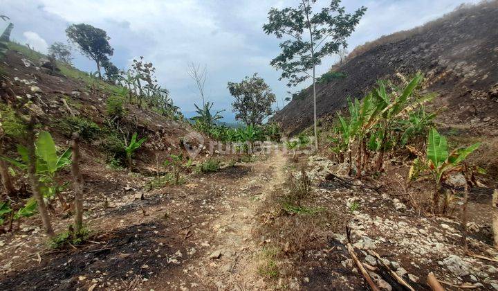 Dijual Tanah 1 Hectare di Cisolok Sukabumi  2