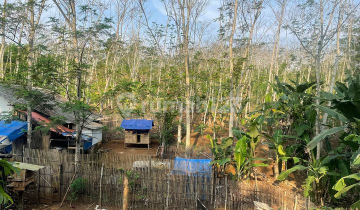 FOR SALE 160,000 m2 LAND ON THE MAIN ROAD OF SUKAMUKTI VILLAGE, PATARUMAN FOR SALE 160,000 m2 LAND ON THE MAIN ROAD OF SUKAMUKTI VILLAGE, PATARUMAN