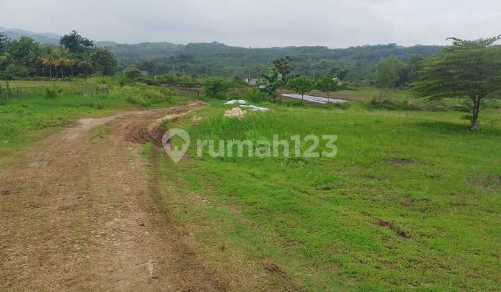 Tanah Datar 23,7 Hektar Dijual di Sodong Klapanunggal Cileungsi Tanah Datar 23,7 Hektar Dijual di Sodong Klapanunggal Cileungsi