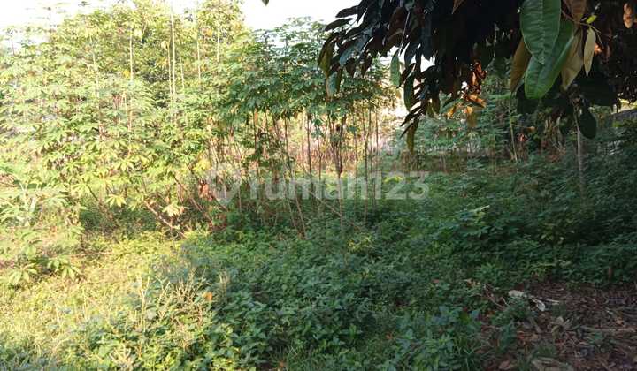 lahan Startegis 650 M2 dijual di desa Nyalindung Cileungsi lahan Startegis 650 M2 dijual di desa Nyalindung Cileungsi