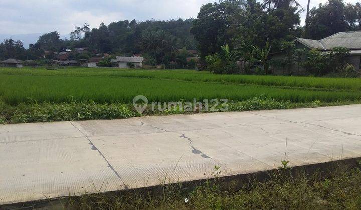 Dijual Tanah Sawah 500M2 di Kp Leungsir Dayeuh Jonggol, Bogor 2