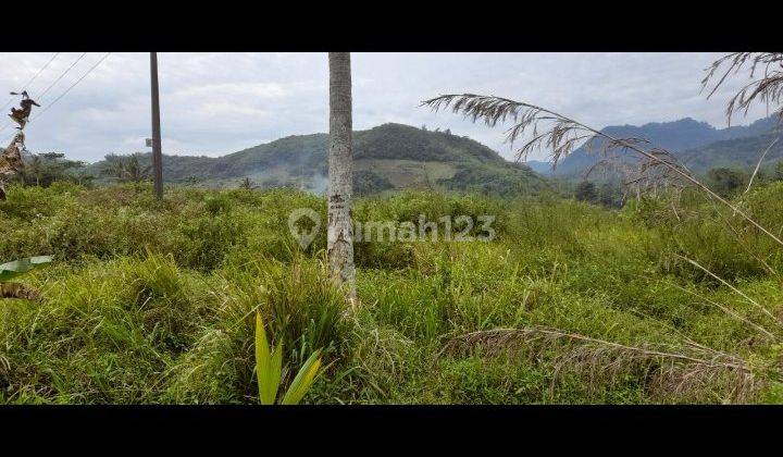 TANAH 15 HEKTAR DI NEGLASARI NYALINDUNG BAROS SUKABUMI 2