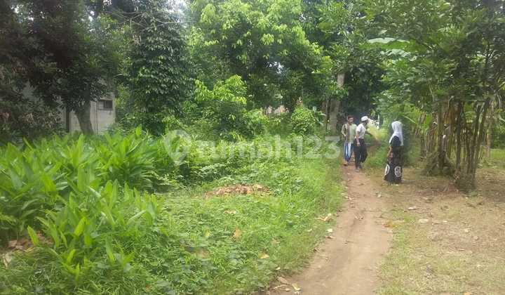 Tanah 1 Hectare di Jl Raya Cileungsi Jonggol, Bogor