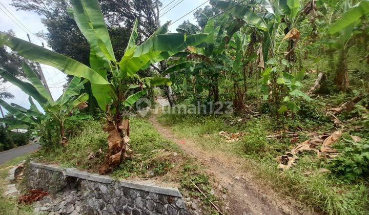 Dijual Tanah 1 Hectare di Cisolok Sukabumi  1