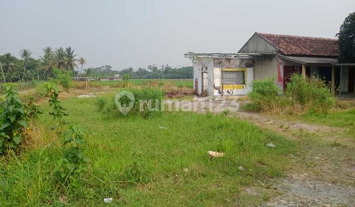 Di Jual Tanah 2 Ha di Singgasari Jonggol
