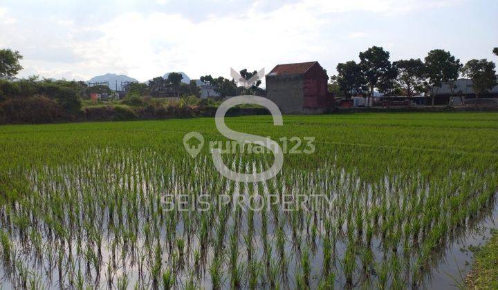 Tanah Sawah Dijual Mainroad Soreang Arah Ciwidey 2