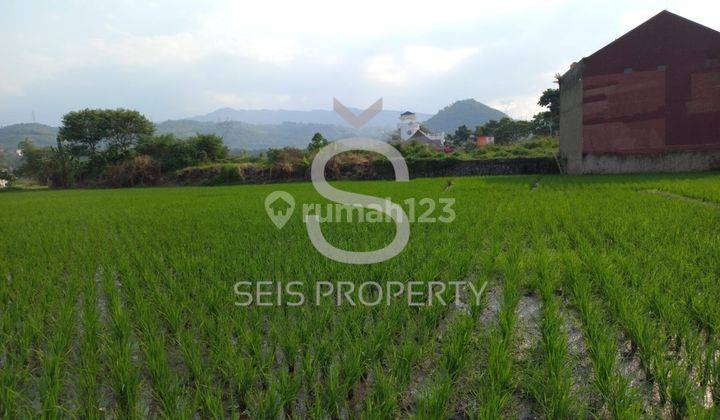 Tanah Sawah Dijual Mainroad Soreang Arah Ciwidey 1