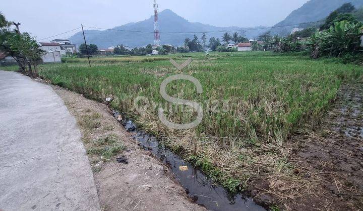 Dijual Tanah Sawah Di Cikopo Ciparay Kabupaten Bandung 1