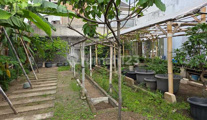 Di Jual Tanah Siap Bangun Cisaranten Kulon Bandung Di Jual Tanah Siap Bangun Cisaranten Kulon Bandung