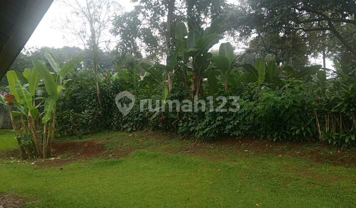 Disewakan Rumah Harga Terjangkau Kemang Timur, Jakarta Selatan 2