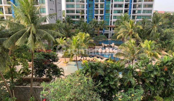 Dijual Apt Hamptons Park Tower C Unit Gandeng Paling Luas di Towernya (Cm Jp) Dijual Apt Hamptons Park Tower C Unit Gandeng Paling Luas di Towernya (Cm Jp)