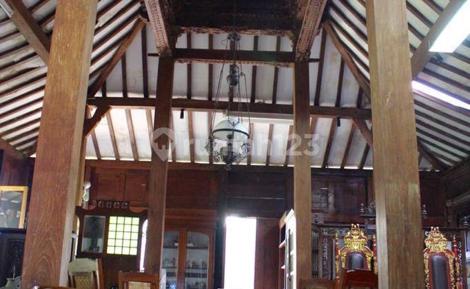 For Quick Sale: Spacious Land and Ancient Joglo Jepara House in Pamulang 2
