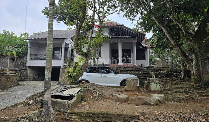 Dijual Cepat Rumah Lama Dengan Tanah Yang Luas Di Rangkasbitung 1