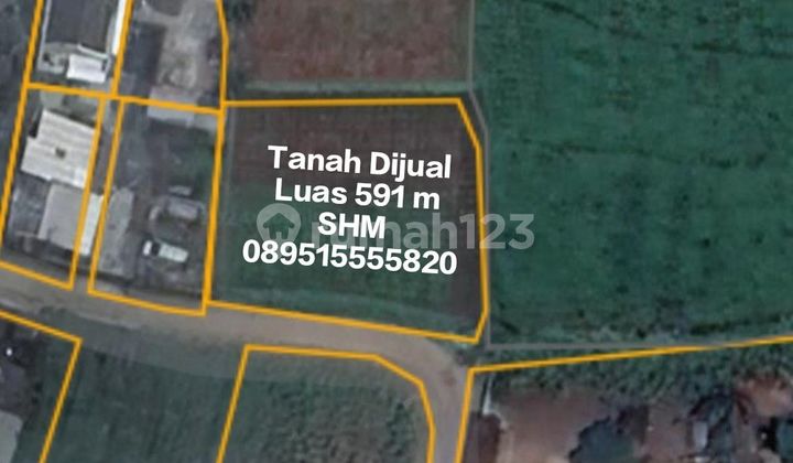 Dijal tanah pinggir jalan dekat exit tol sirkuit Sentul bogor Dijal tanah pinggir jalan dekat exit tol sirkuit Sentul bogor
