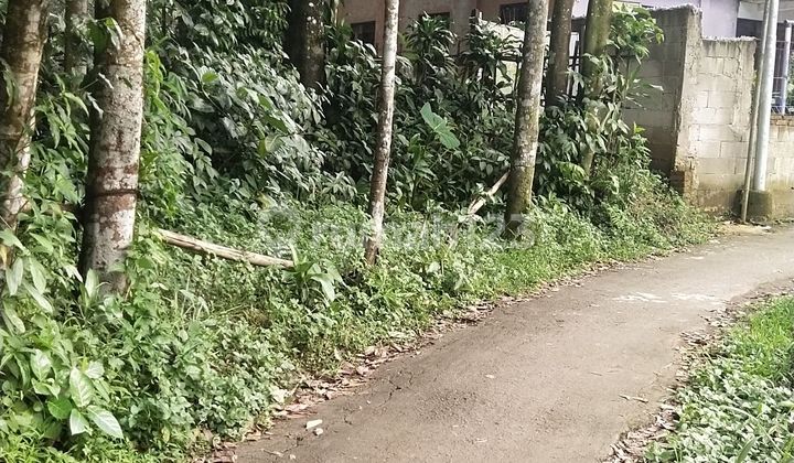Dijual tanah di Bojong kerta  dekat Rancamaya Ciawi kota bogor