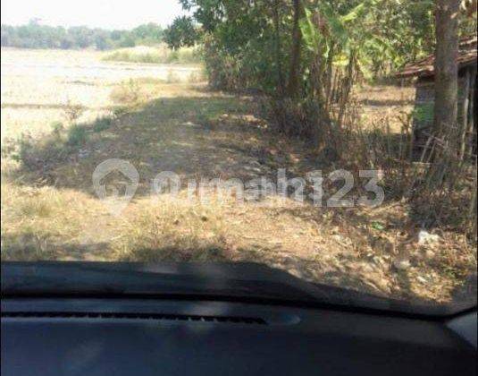Lahan Cibarusa 4200m Izin Bangun Perumahan Subsidi di Bekasi 1