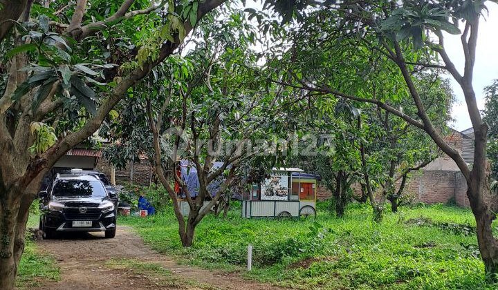 Land Plot in Margahayu Raya Metro Near Borma Rancabolang Land Plot in Margahayu Raya Metro Near Borma Rancabolang