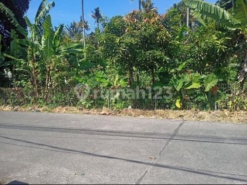 Tanah Harga Dibawah Njop Dekat Borma Dakota Pasteur