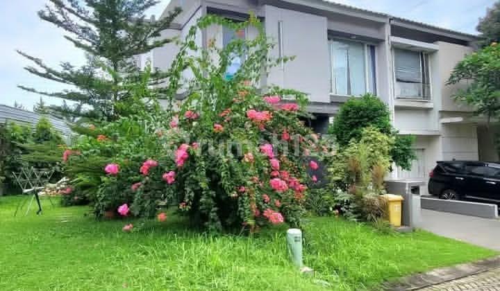 Rumah Bagus Posisi Hook di Kebayoran Village Bintaro Sektor 7 Rumah Bagus Posisi Hook di Kebayoran Village Bintaro Sektor 7
