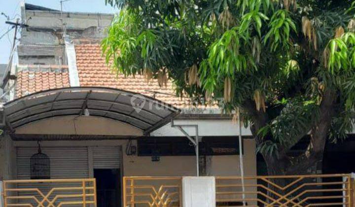 Rumah Tenggilis Timur Termurah belakang Gedung Bk3s Dkt Marina 2