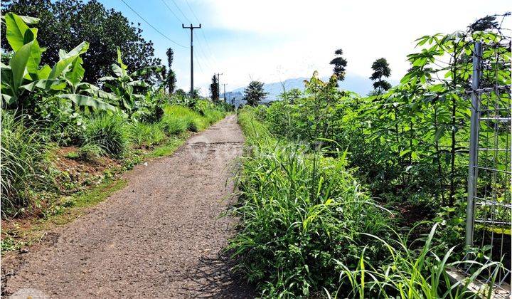 Tanah Murah di Padalarang Bandung Barat  1