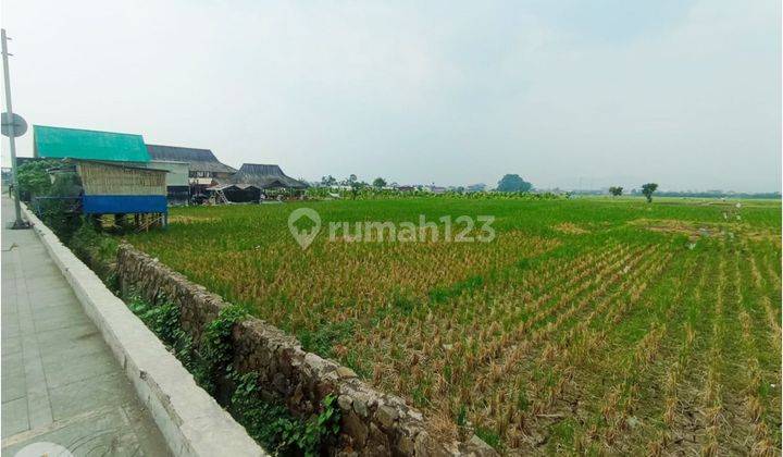 Tanah Mainroad Tol Saroja Cocok untuk Usaha  2