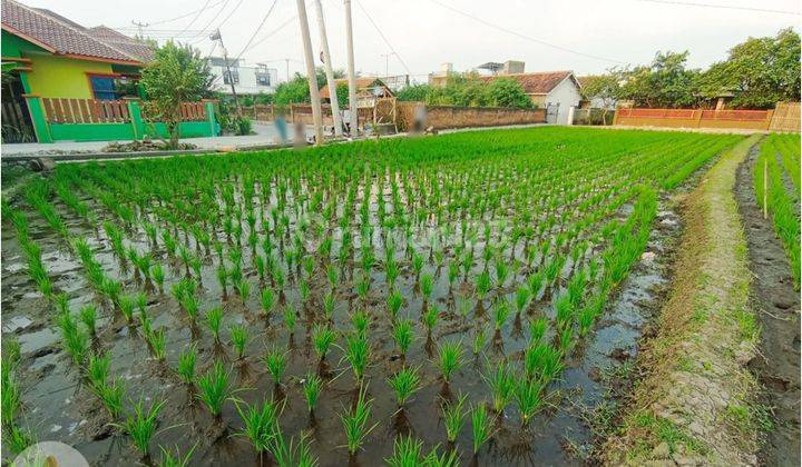 Tanah Sayap Tol Soroja Cocok untuk Cafe atau Rumah Makan  2