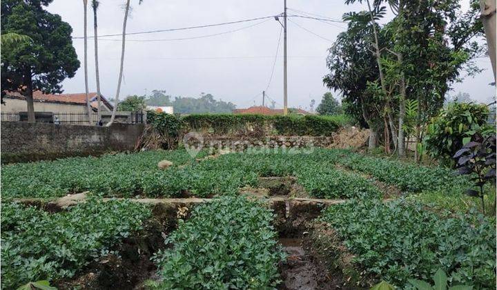 Rumah Dan Tanah Luas Untuk Villa Di Ciwidey  2