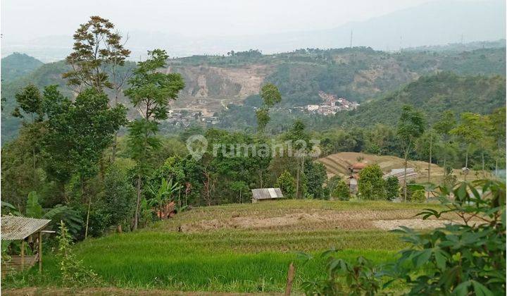 Tanah Murah Cocok Untuk Perkebunan Atau Wisata Di Soreang  2