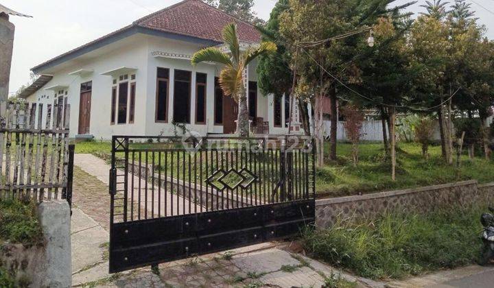 Rumah Bagus Halaman Luas di Tulus Ayu Tumpang Malang 1