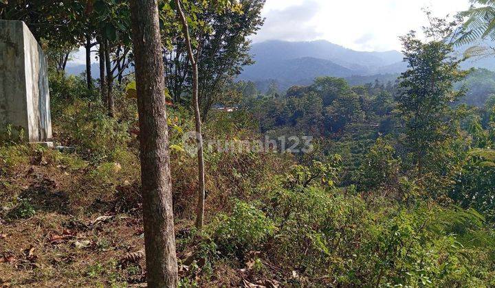 Tanah Dekat Tempat Wisata Siap Bangun di Junrejo Batu Malang 2