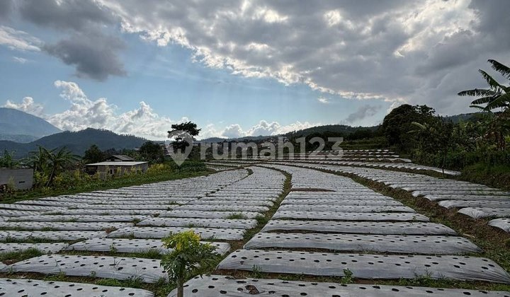 Tanah Strategis View Gunung di Gempol Bumiaji Batu