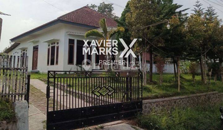 Rumah Bagus Halaman Luas di Tulus Ayu Tumpang Malang 1