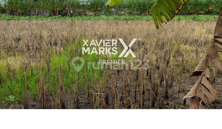 Tanah Strategis Siap Bangun di Citraland Surabaya Tanah Strategis Siap Bangun di Citraland Surabaya