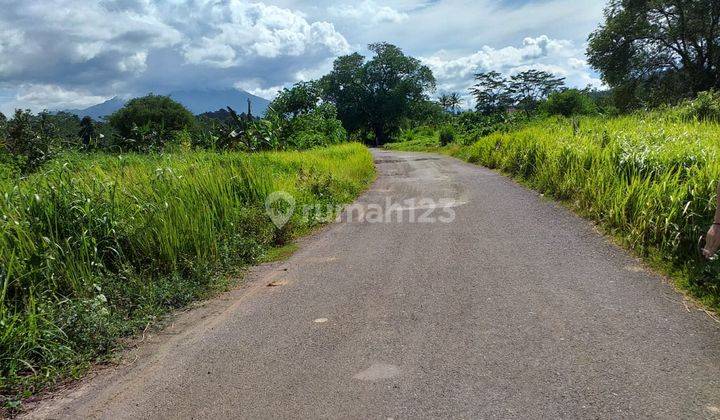 Tanah SHM Murah Ada Jalan Aspal Akses 2 Mobil di Taktakan  2